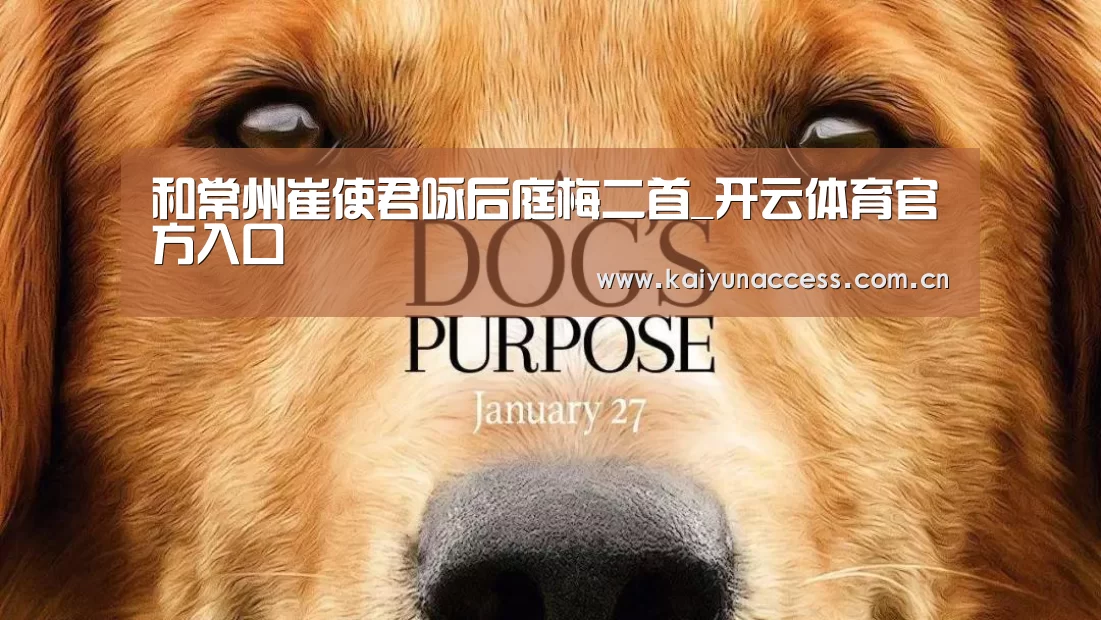 开云体育首页