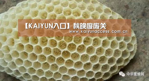 开云体育