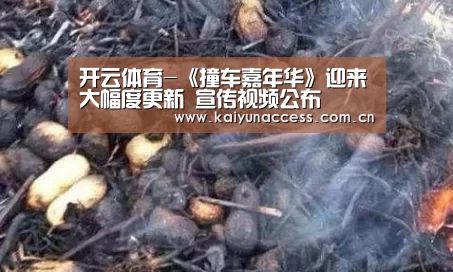 开云体育-《撞车嘉年华》迎来大幅度更新 宣传视频公布(图1) 开云体育