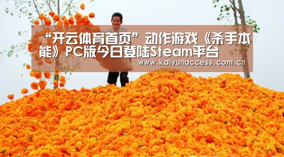 “开云体育首页”动作游戏《杀手本能》PC版今日登陆Steam平台(图2) 开云体育首页