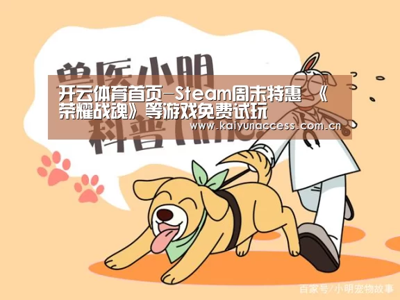 开云体育首页-Steam周末特惠 《荣耀战魂》等游戏免费试玩(图3) KAIYUN入口